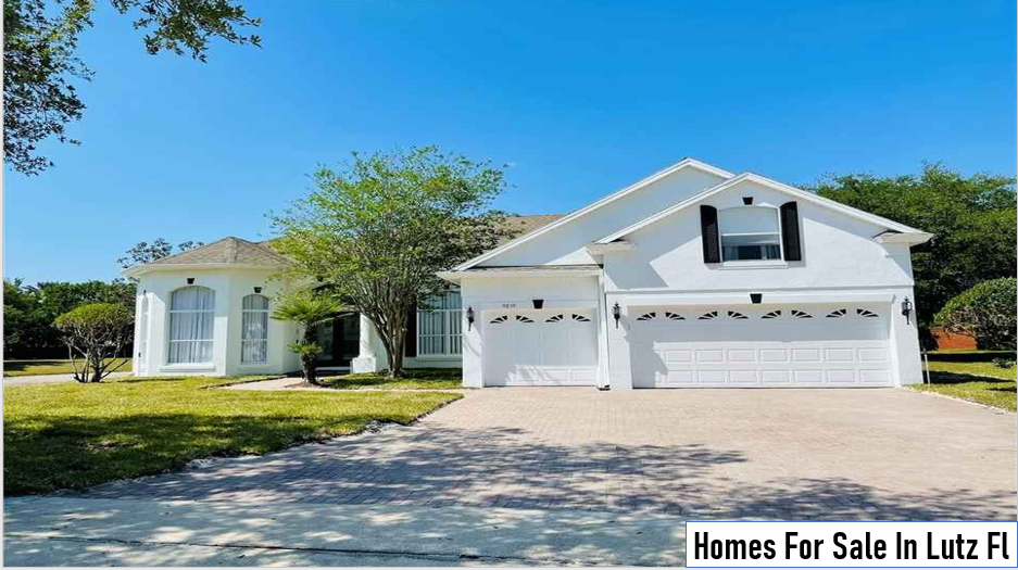Homes For Sale In Lutz Fl