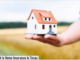 How Much Is Home Insurance In Texas