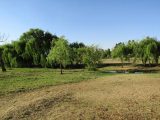 vacant land for sale near me